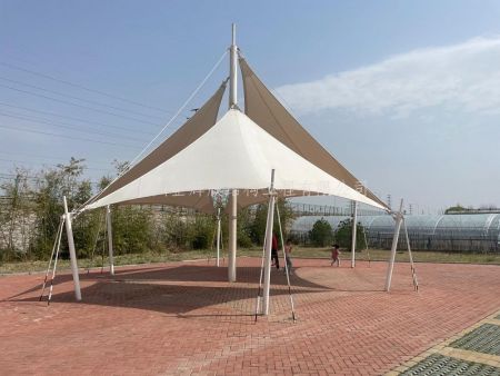 8a99930135ef4a58d4f4eb9ba73cfcc8