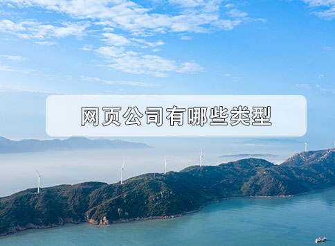 网页公司有哪些类型？