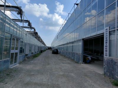 玻璃温室_智能温室及连栋薄膜温室厂家 - 青州市洪奎温室工程有限公司