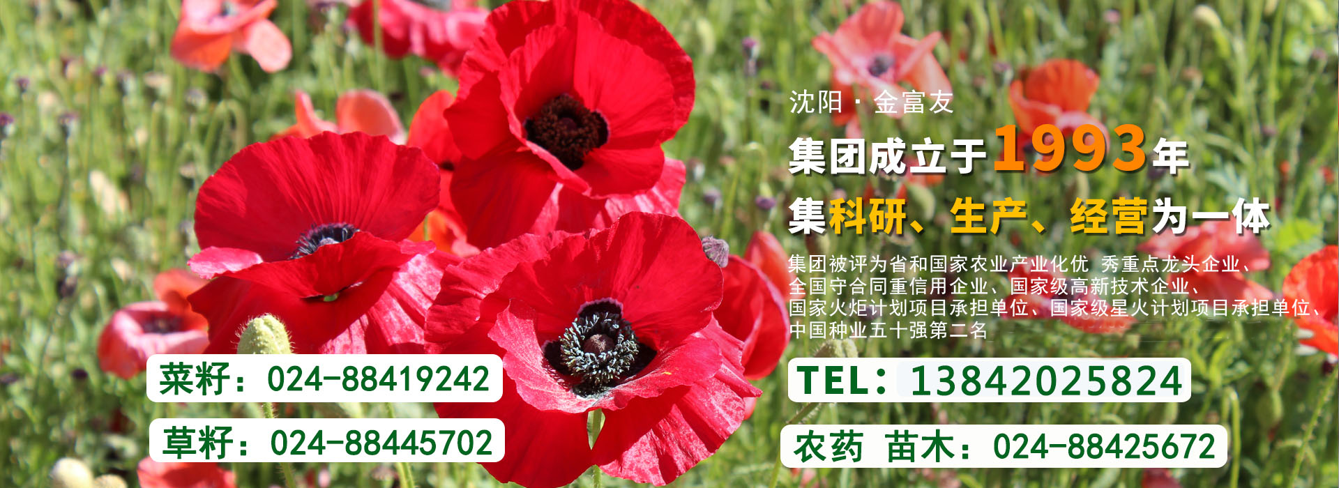 沈阳蔬菜种子