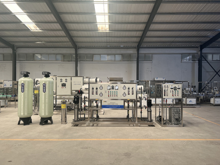 2吨双级反渗透+edi