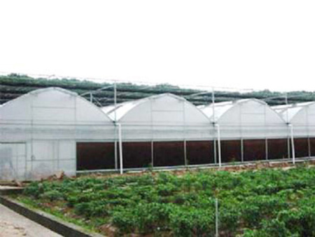 Intelligent thin-film greenhouse