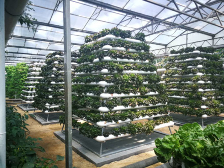 Soilless culture