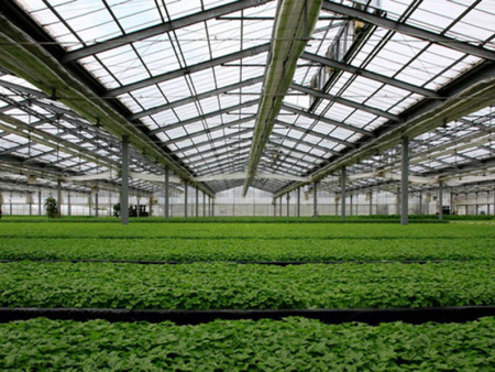 PC board intelligent greenhouse