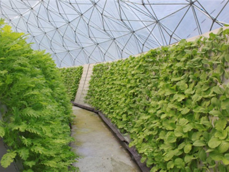 Soilless culture