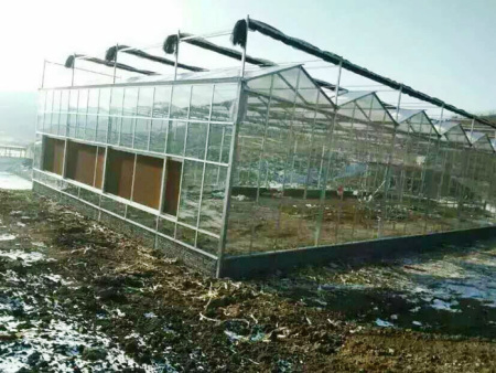 Intelligent glass greenhouse