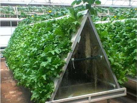 Aeroponics