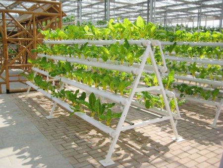 Soilless culture