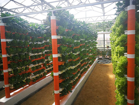 Soilless culture