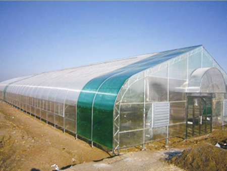 Column-free all-steel frame solar greenhouse