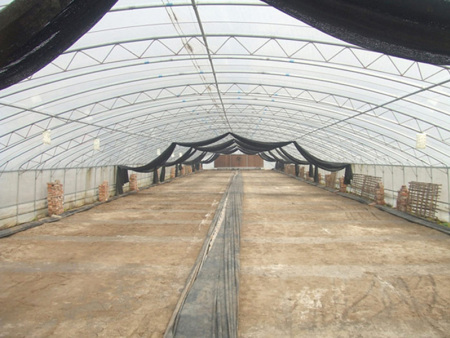 All-steel frame arched shed