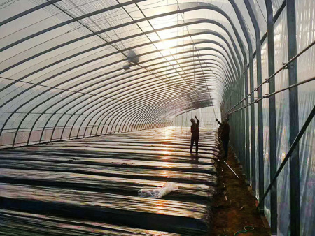 Greenhouse skeleton