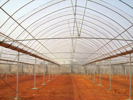 Column arch shed