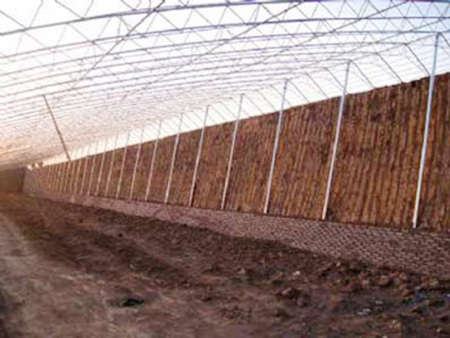 Column-free all-steel frame solar greenhouse