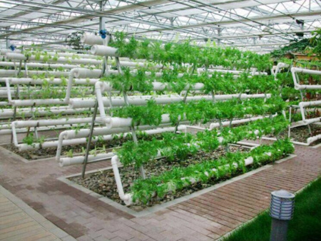 Soilless culture
