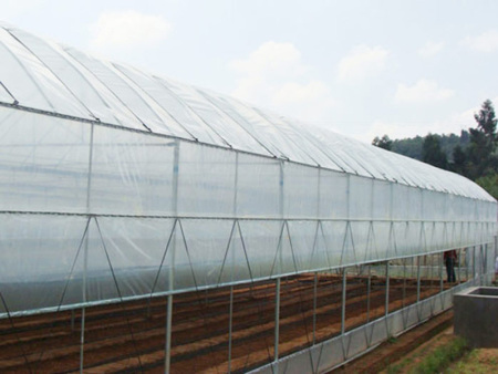 Column arch shed