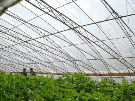 Column-free all-steel frame solar greenhouse