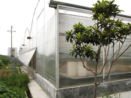 Intelligent thin-film greenhouse
