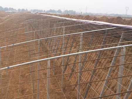 Sunlight greenhouse with pillar and string structu