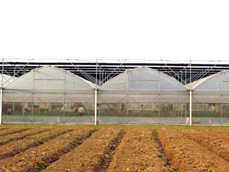 Intelligent thin-film greenhouse