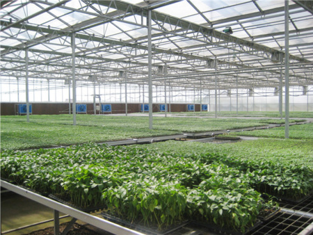 Nursery greenhouse