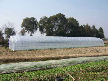 All-steel frame arched shed