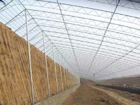 Column-free all-steel frame solar greenhouse