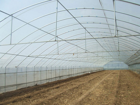 All-steel frame arched shed