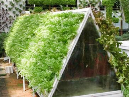 Soilless culture
