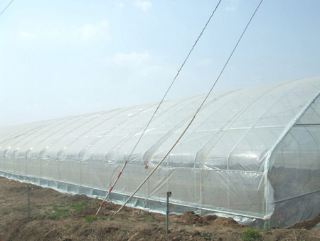 All-steel frame arched shed