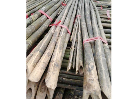 Greenhouse bamboo pole