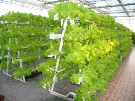 Soilless culture