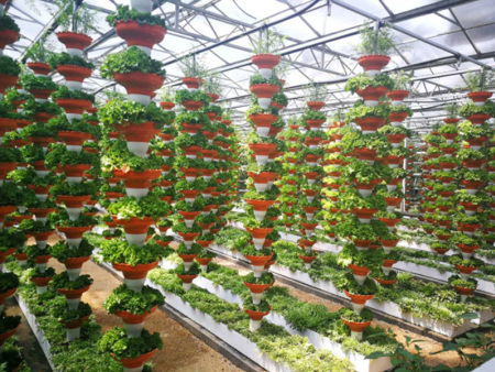 Soilless culture