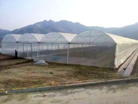 What are the advantages of multi-span greenhouses