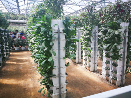 Soilless culture