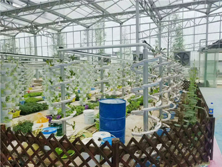 Small spiral cultivation