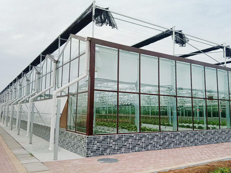What are the advantages of multi-span greenhouses