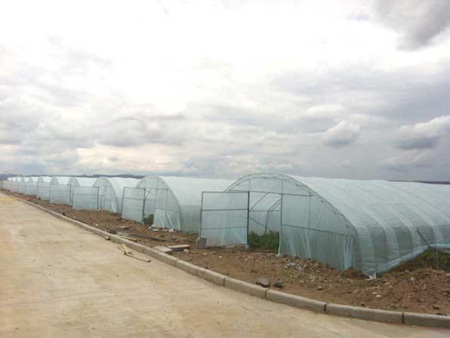 All-steel frame arched shed