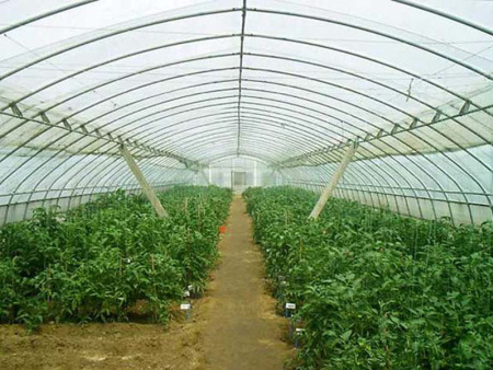 All-steel frame arched shed