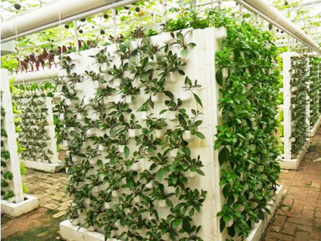 Soilless culture