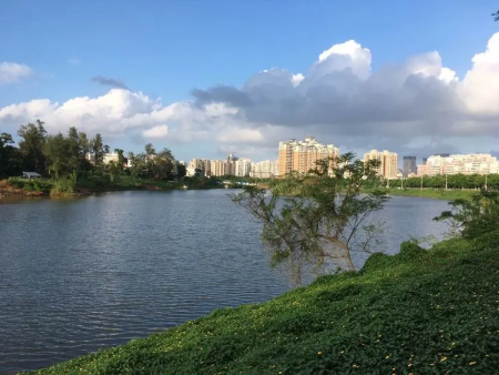 雷克环境中标海口市金牛湖应急清淤项目