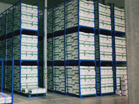 堆垛架案例展现