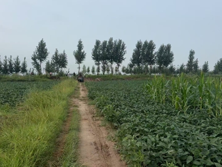 开封打井打桩农村浇地井