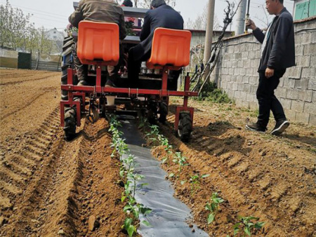 蔬菜移栽机