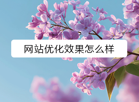 网站优化效果怎么样？