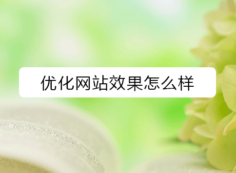 优化网站效果怎么样