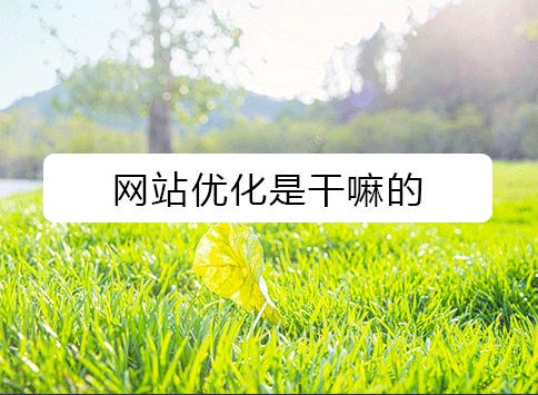 网站优化是干嘛的？