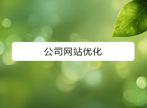 公司网站优化