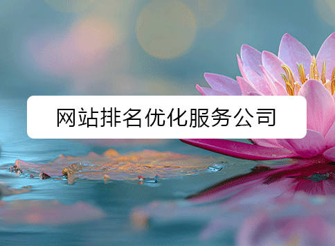 网站排名优化服务公司