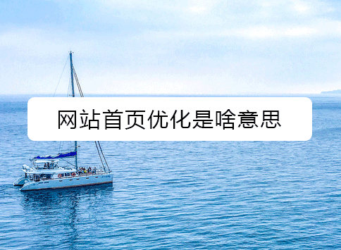 网站首页优化是啥意思